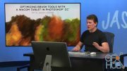 CreativeLive – Optimizing Brush Tools with a Wacom Tablet in Photoshop CC
