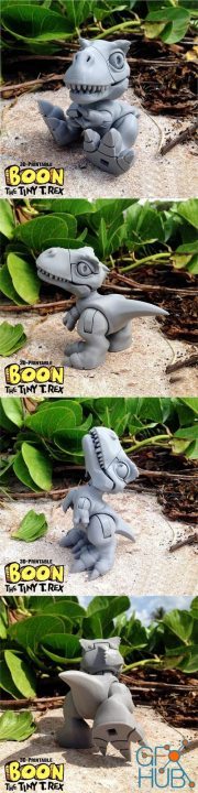 Boon Tiny TRex – 3D Print
