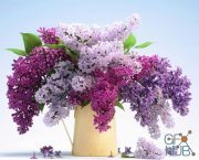 Multicolored lilac in a bouquet