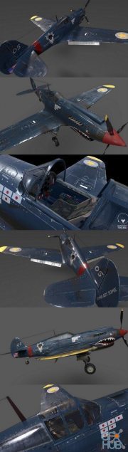 P40 War Hawk PBR