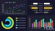 Skillshare – Animated Infographics With After Effects