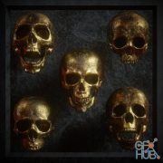 Billelis 3D Skull Model Pack Vol 1