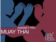 Unity Asset – Muay Thai Animset Pro