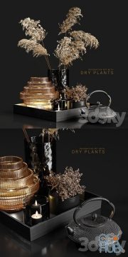 Decorative set with dry plants 3