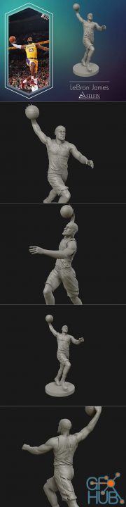 LeBron James – 3D Print