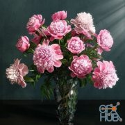 Paeonia barbara flowers pink (max, fbx)