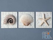 Nautilus, Seashell, Starfish Plaques