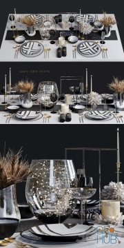 Luxury table setting L