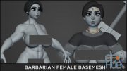 ArtStation – BASEMESH – Barbarian Female