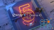 V-Ray Advanced 5.20.03 for Cinema 4D R20-R25 Win x64