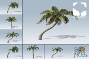 Unity Asset – Palm Package