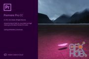 Adobe Premiere Pro CC 2019 v13.0.2 for Windows x64
