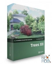 CGAxis – Trees 3D Models Collection – Volume 109
