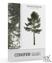 Forest/Digital Vol. 4 – Conifer Trees