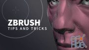 Lynda – ZBrush: Tips and Tricks (Updated: 8/7/2019)