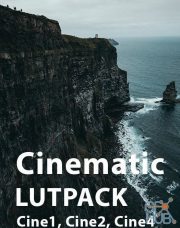 Andrey Soladkov – Cinematic Luts Pack