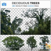 PHOTOBASH – Deciduous Trees