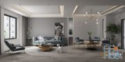 Modern Style Interior 039