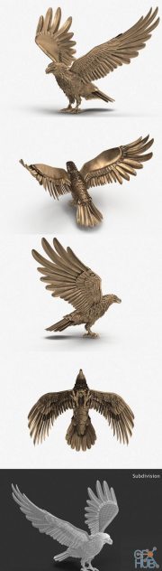 Bronze Eagle PBR