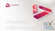 Modern & Clean Logo Reveal 30276616