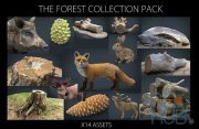 Cubebrush – The Forest Collection Pack