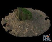 Forest stump with moss 02 3D-Scan
