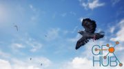 Unreal Engine Marketplace – Birds