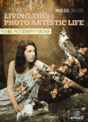 Living The Photo Artistic Life, Issue 1 – 35 (2015 – 2018)