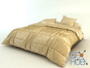 Bedding with blanket and pillows
