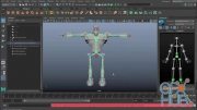 Skillshare – Maya 3D Rigging – Learn How to Quickly Rig a Biped Character for Animation