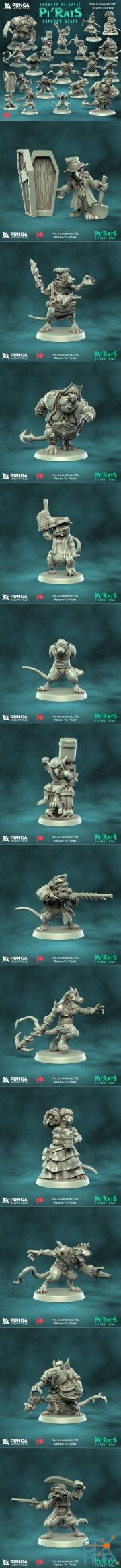 Pi'Rats Support Staff January Release – 3D Print