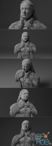 Sansa Stark – 3D Print