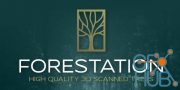 Blender Market – Forestation – High Quality 3d Scanned Trees V1