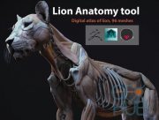 Cubebrush – Lion Anatomy