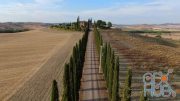 MotionArray – Road Lined With Cypress Trees, Tuscany 1009743