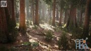 Unreal Engine Asset – Redwood Forest Biome
