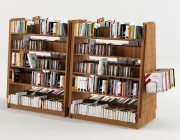 Racks with bookshelves