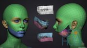 Cubebrush – Female BaseMesh – Eve – ZTool