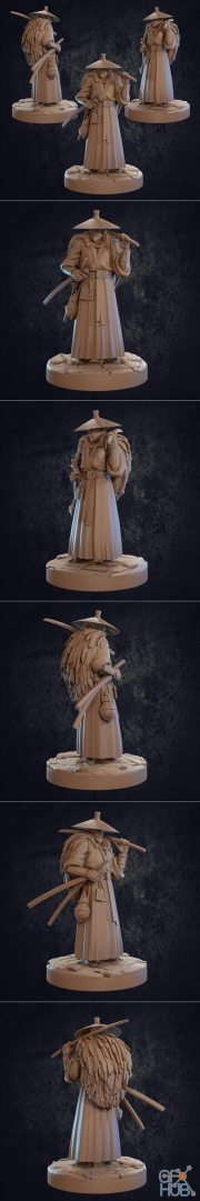 Hattori Human Ronin – 3D Print