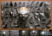 ArtStation Marketplace – EARS – 40 ZBrush VDMs