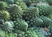 Solid Angle Houdini to Arnold v5.0.0 for Houdini 17.x-18.x (Win/MacOS/Linux)
