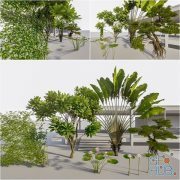 Lumion Trees 3D Models Collection