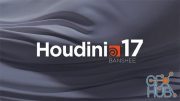SideFX Houdini FX v17.5.173 Win/Mac x64