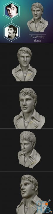 Elvis Presley – 3D Print