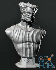 Logan Wolverine Bust – 3D Print