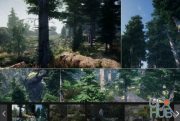 Unreal Engine Marketplace – Environment Set