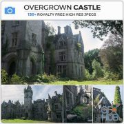 PHOTOBASH – Overgrown Castle