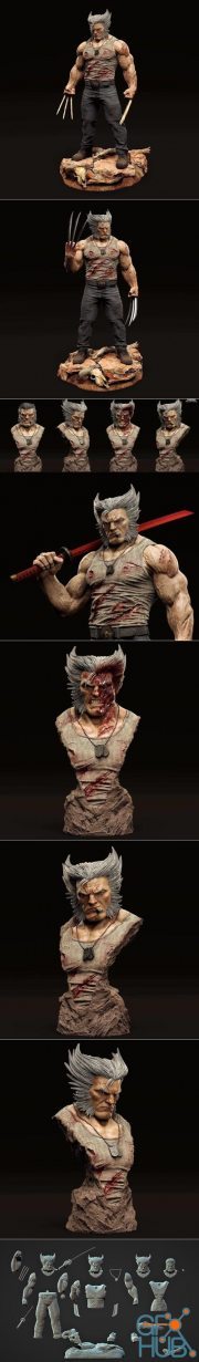 Logan Wolverine – 3D Print