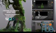 ArtStation – Creating Old Growth Mossy Tree: Tutorial and Game Assets