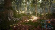 Unreal Engine Marketplace – Broadleaf Forest Collection